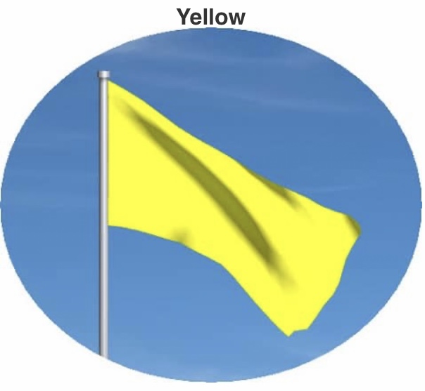 Yellow flag
